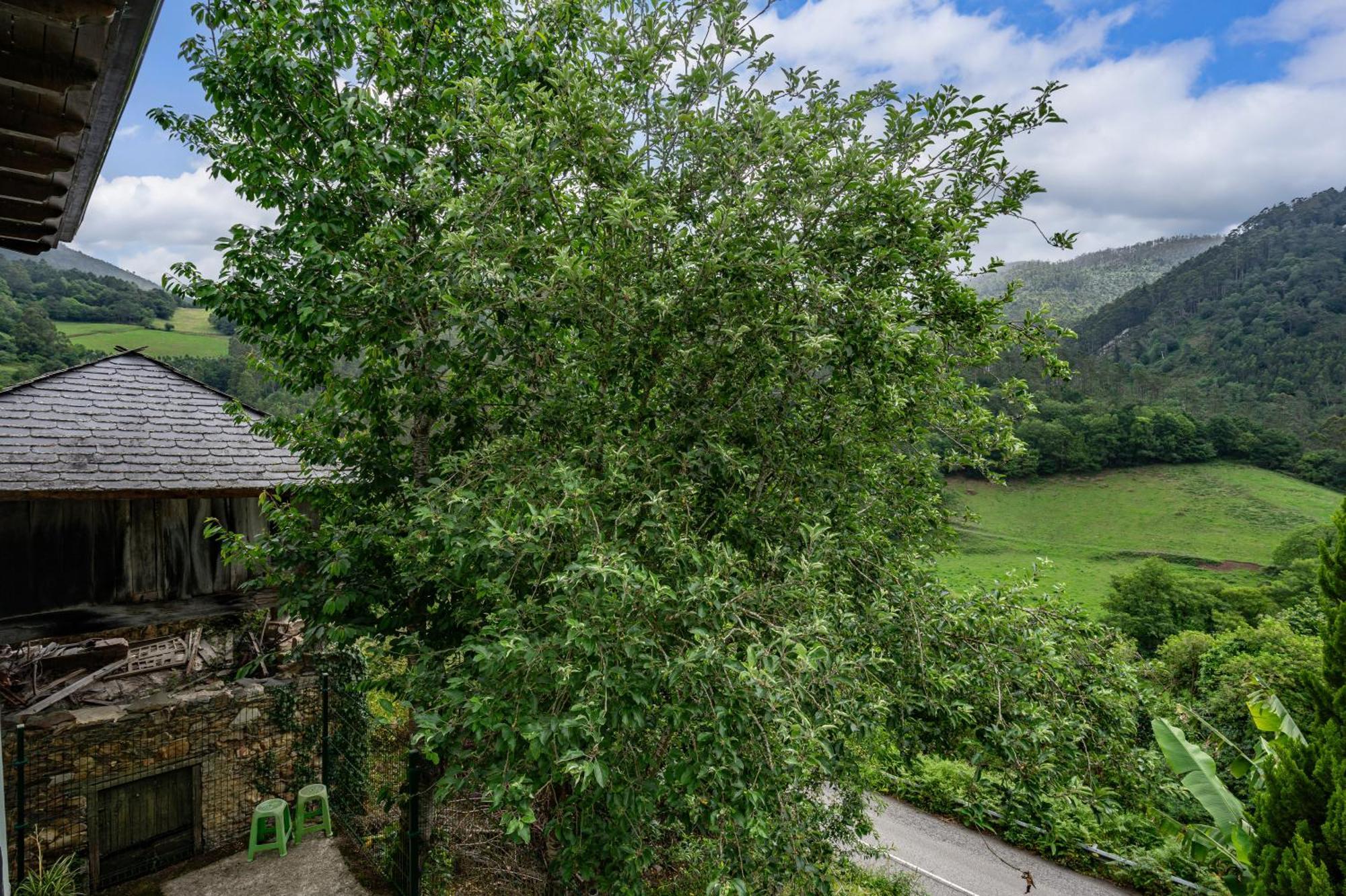 Maseda 1 Villa Villayon Luaran gambar
